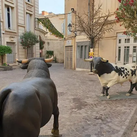 Bienvenue-beziers Apartament